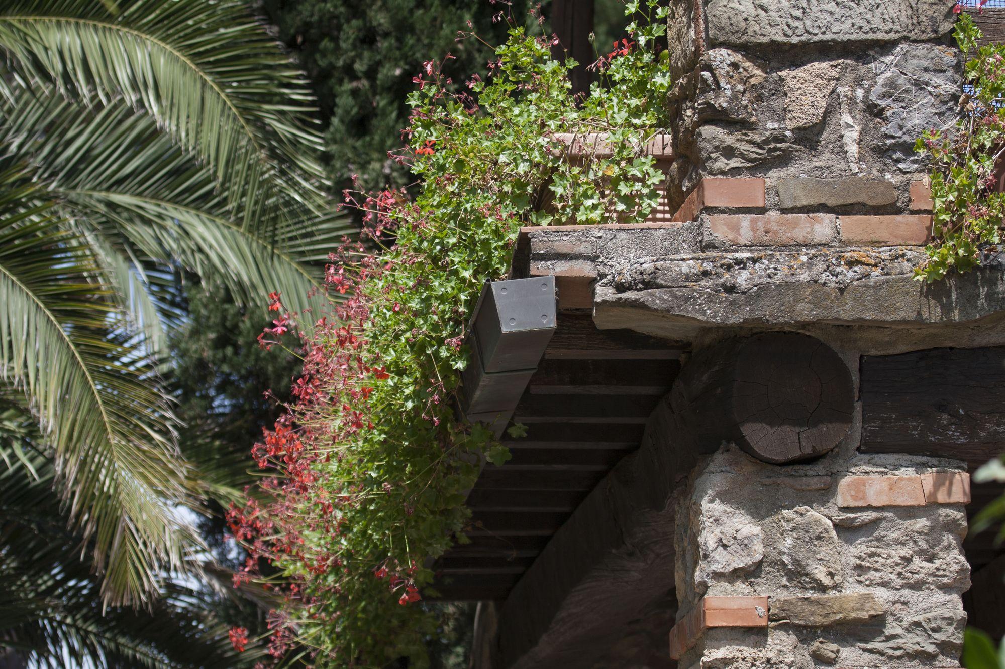 Tenuta Aronne Massa Marittima Exteriör bild