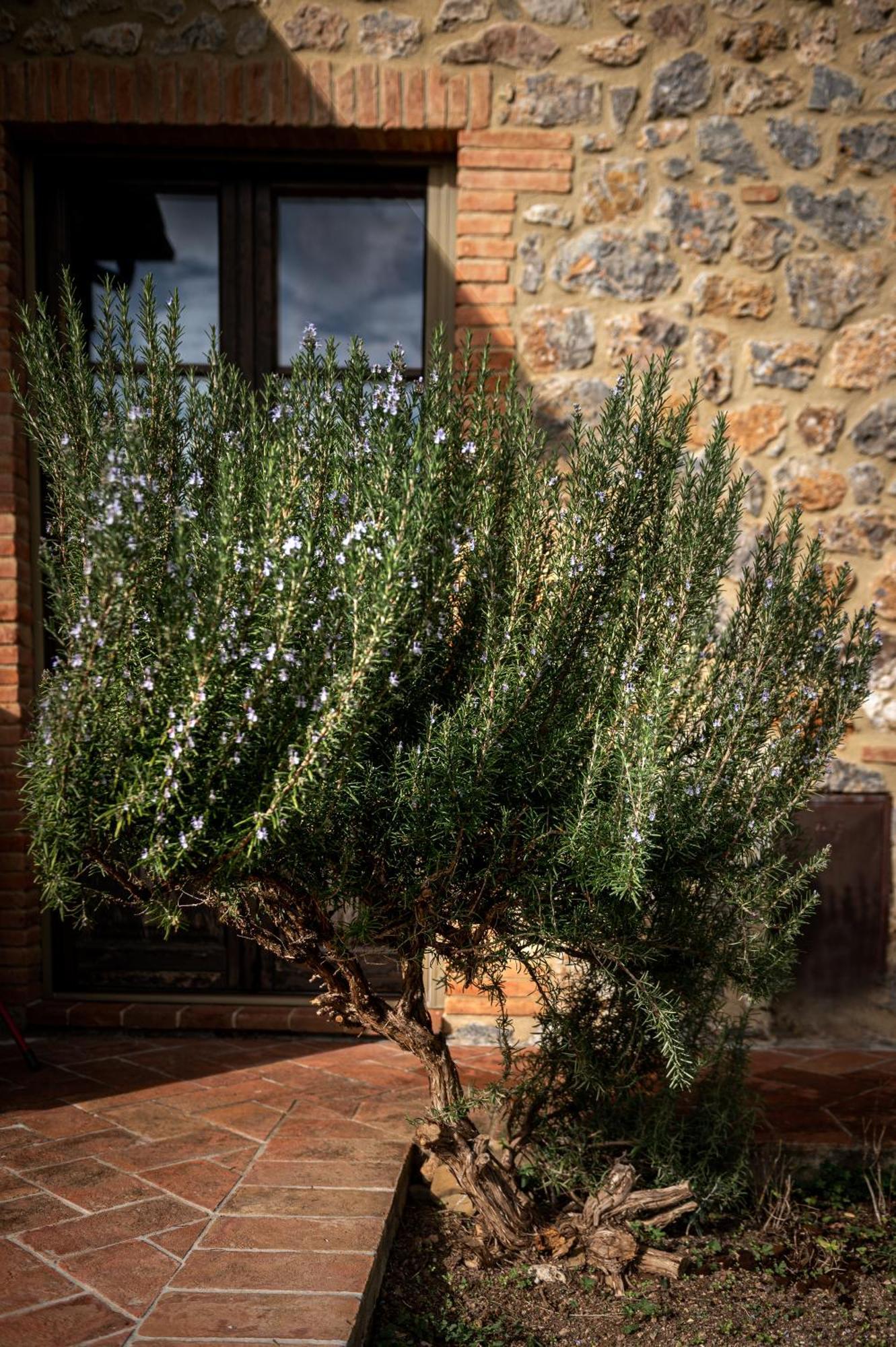 Tenuta Aronne Massa Marittima Exteriör bild