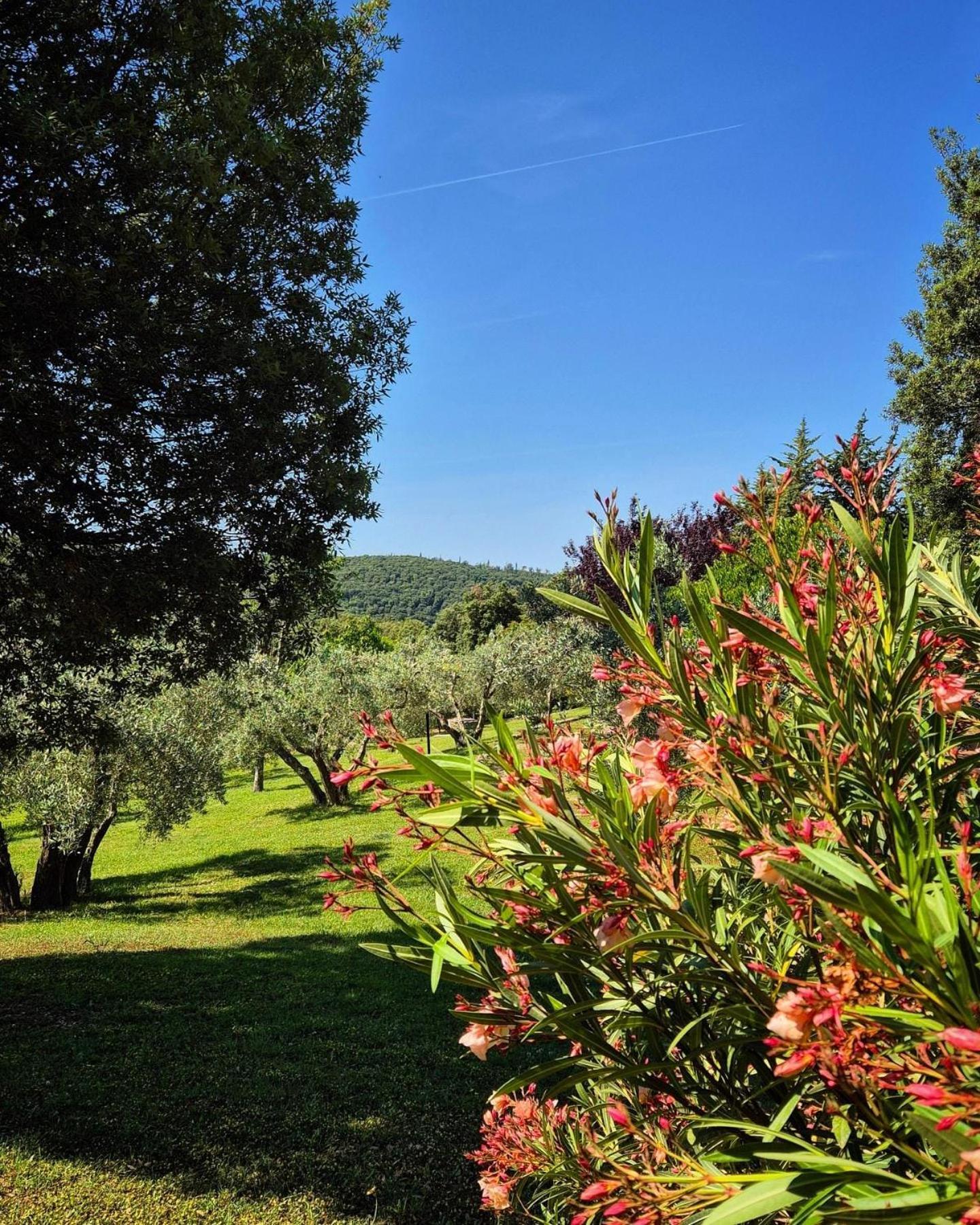 Tenuta Aronne Massa Marittima Exteriör bild